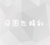 全面网络营销策略：精准推广项目执行计划书